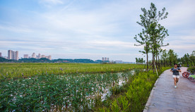 旅游景观