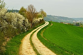 土路