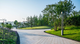 城市绿地