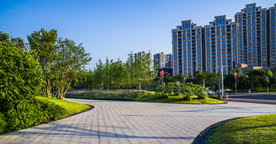 城市公园