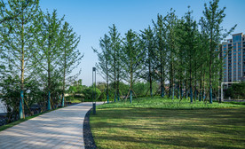 城市公园