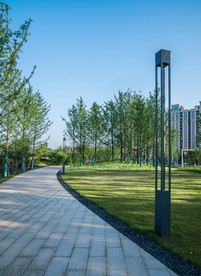 城市公园