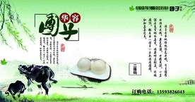 团子包装设计