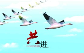 共进