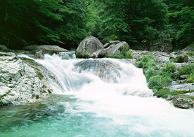 溪流
