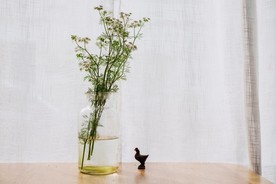 鲜花