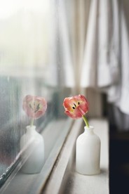 鲜花