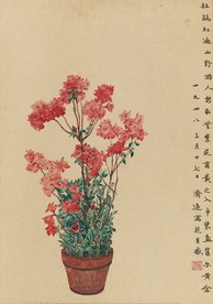 杜鹃花