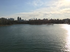 河面