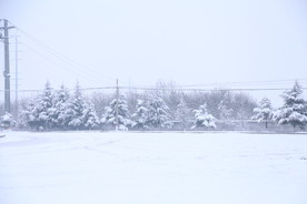 大雪纷飞