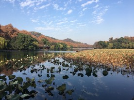 西湖美景