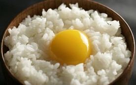 营养主食米饭