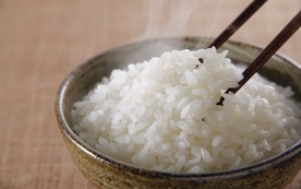 营养主食米饭