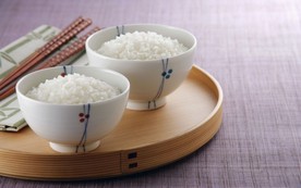 营养主食米饭