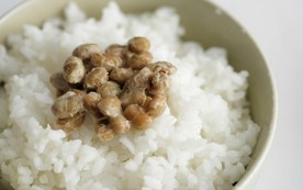 营养主食米饭