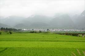 丽江风景