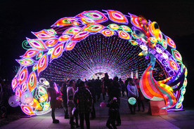 常州 元旦春节灯展 狗年灯展