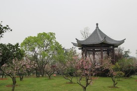 长沙湘江橘子洲头