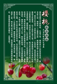 樱桃展板