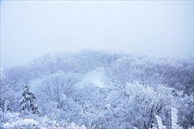 冰雪世界