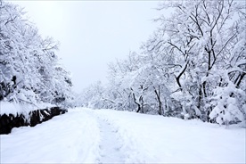 雪路