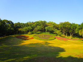 山坡