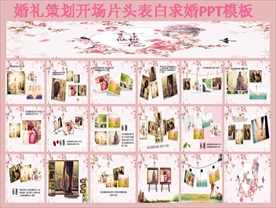 婚礼策划开场片头表白求婚PPT