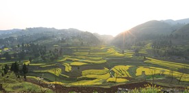 贵州梯田