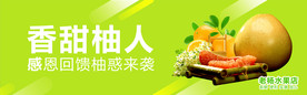 柚子海报