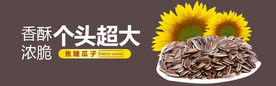 瓜子海报