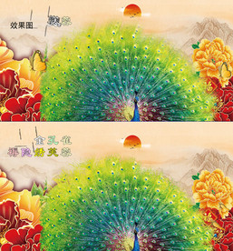 野生动物孔雀开屏高清视频
