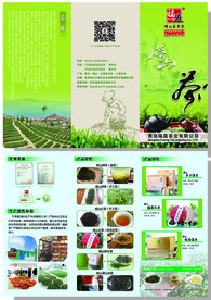 茶折页