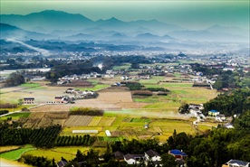 田园风光