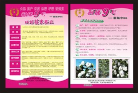 棉花种子