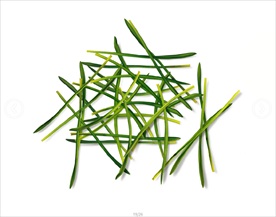 带阴影的清新花朵设计