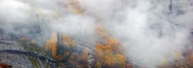 山坡植被烟雾拍摄