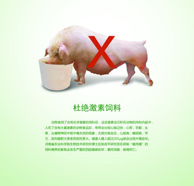 海报设计 创意海报 DM单