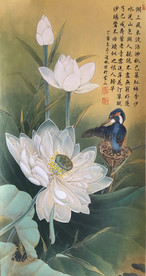 荷花
