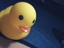 小黄鸭