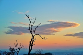 夕阳下的美景