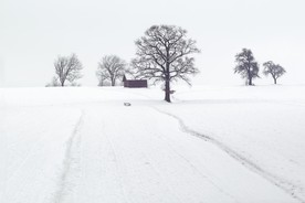 冬日里的雪景