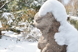苏州雪景