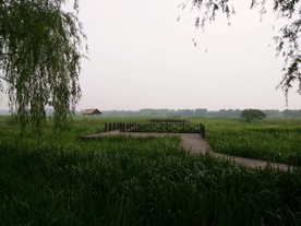 通州运河风景