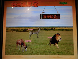 热带草原区动物