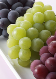 葡萄