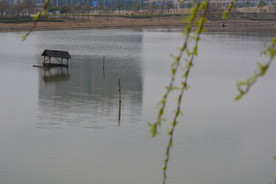 湖面垂柳小亭子