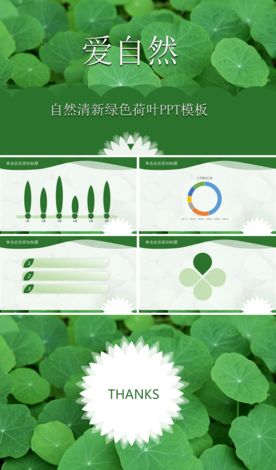 自然清新绿色荷叶PPT模板