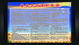 基本农田保护条例