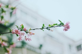 四月