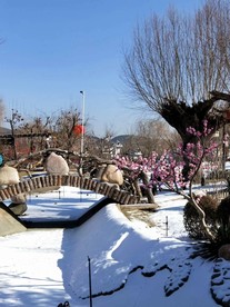 雪景